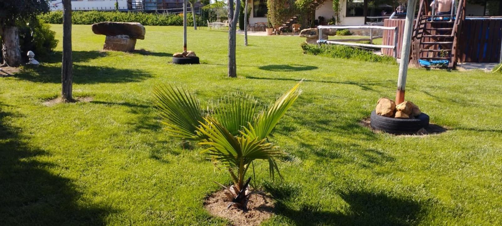 Casa Rural Finca Los Pajaros Navahermosa  Exterior foto